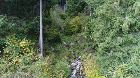 Aerial view with drone over a mountain stream into a green forest Stock Footage 99731022