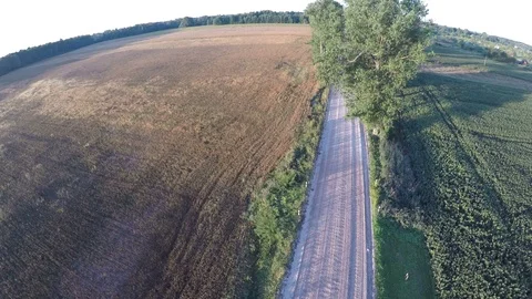 Aerial view from drone over summer morning gravel road and trees Stock Footage 79371713