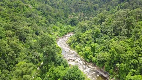 An aerial view from a drone of a rain forest, mountains with a small river Stock Footage 81213655