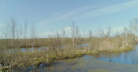 Aerial view of drone rises over a large marshland Stock Footage 118370784
