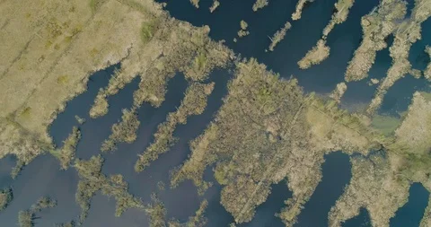 Aerial view of drone rises over a large marshland Stock Footage 118371438