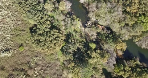 Aerial view by drone, with river landscape, Dão river on valley Stock Footage 105753359