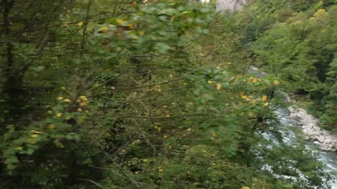 Aerial view from a drone on a river in the mountains. Drone crash. Stock Footage 169653718