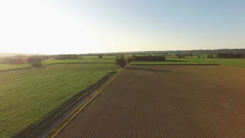 Aerial view by drone of a road between the field in the sunset Stock Footage 103706165