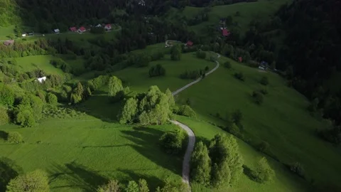 Aerial view from a drone. Road between trees in a green summer landscape in the Video stock 197037121