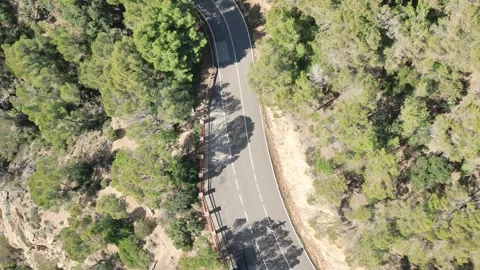 Aerial view from drone of road between green trees, 4K Stock Footage 266937435