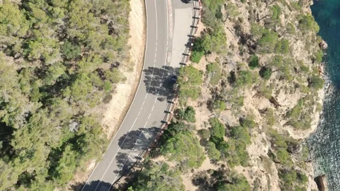 Aerial view from drone of road between green trees, 4K Stock Footage 266937440