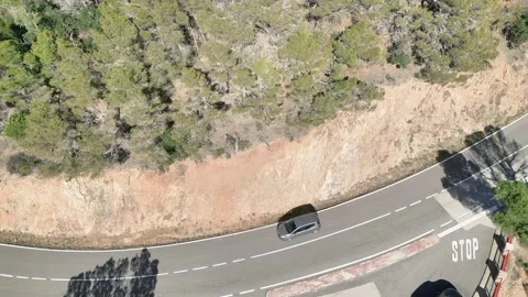 Aerial view from drone of road between green trees, 4K Stock Footage 266937443