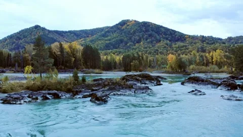 Aerial view of the drone on the road, forest, mountains river. Altay. Russia Video stock 140254822