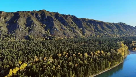 Aerial view of the drone on the road, forest, mountains river. Altay. Russia Video stock 140255151