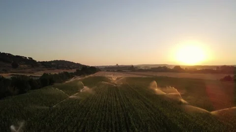 Aerial view drone shot of irrigation system rain guns sprinkler on agricultural Stock Footage 203768178