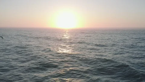 Aerial view of drone slide over sea surface in sun light and gull Stock Footage 128630620