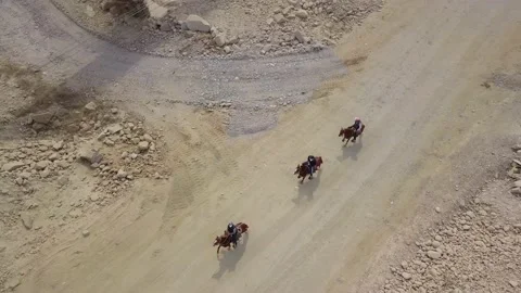 Aerial view with drone of some step horses walking on the ground Vidéo 143937550