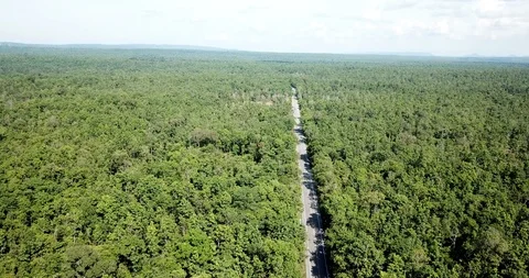 Aerial view drone top view the road on the nature green wild Thailand. Stock Footage 92586016