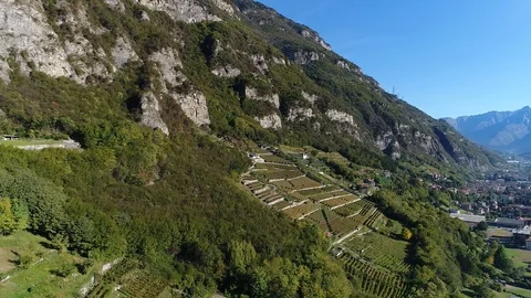 Aerial view with drone in Val Camonica - Italian vineyards Stock Footage 99341285