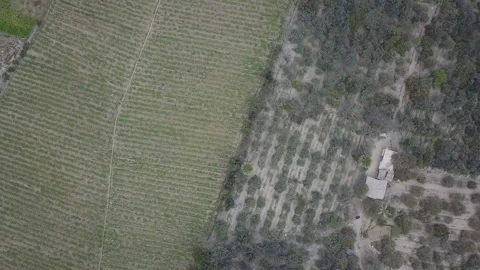 Aerial view with drone of various crops and lands in the district of Cieneguilla Stock Footage 141852205