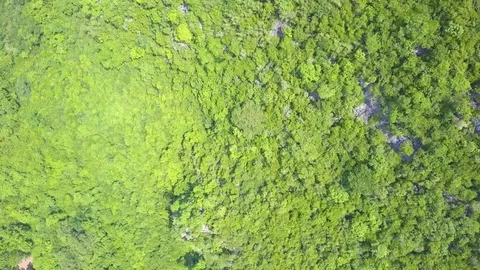 Aerial View from a drone while flying over the beautiful tropical forest Stock Footage 78258849
