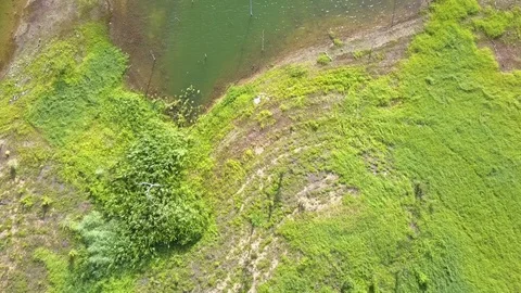 Aerial View from a drone while flying over the bank of the big lake Stock Footage 78261891