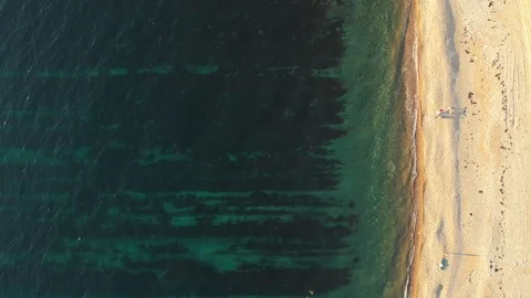 Aerial view from drone of wild sandy beach and people with azure water and Stock Footage 100230890
