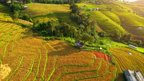 Aerial view of drones flying over rice terraces Stock Footage 220465397