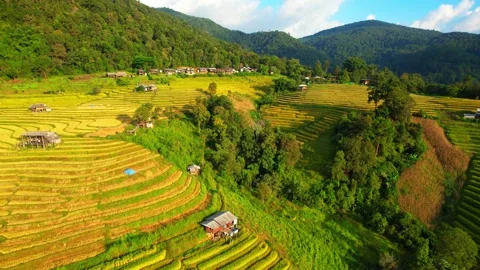 Aerial view of drones flying over rice terraces Stock Footage 220465642