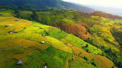 Aerial view of drones flying over rice terraces Stock Footage 220465681