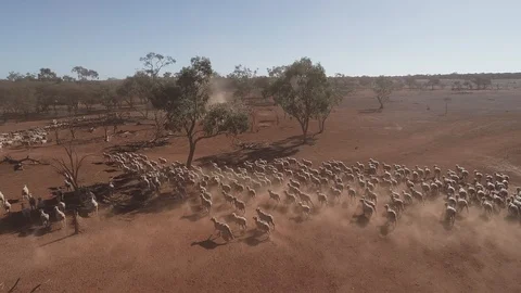 Aerial view of drought on dusty outback sheep farm Australia Stock Footage