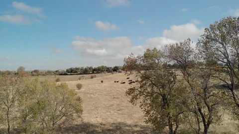 Aerial view drought 動画素材 124793018