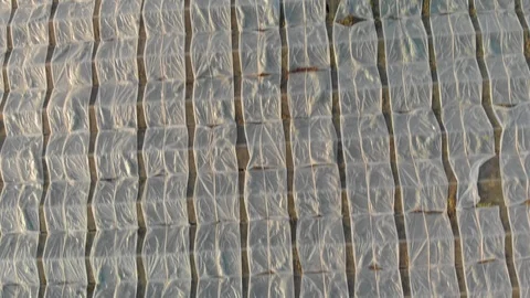 Aerial view drought 動画素材 124793032