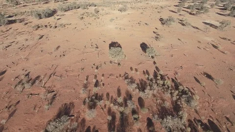 Aerial view of drought in outback Australia with trees Stock Footage 92518700