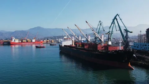 Aerial view of a dry cargo ship being unloaded in the port Stock Footage 232480309