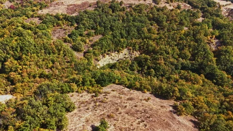 Aerial view of a dry clearing surrounded by trees and brush in a hilly landscape Stock Footage 347889363