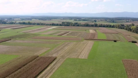 Aerial View of dry cornfields in countryside, crops stretching across landscape. Stock Footage 285772443
