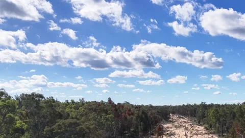 Aerial View of Dry Creek Bed in Australian Outback Forest Video stock 344938282
