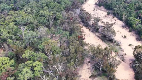 Aerial View of Dry Creek Bed Through Australian Outback Forest Stock Footage 346121155