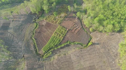 Aerial View of Dry Farm Fields and Forest Stockbeeldmateriaal 346480917