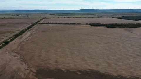 Aerial view of dry fields in Texas Stock Footage 99295567
