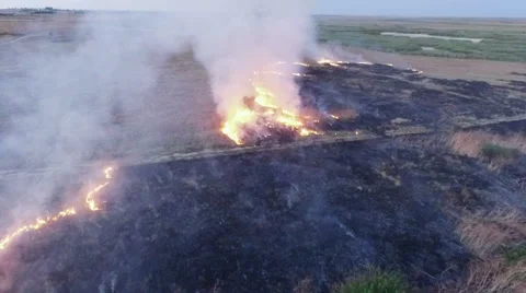 AERIAL VIEW. Dry Grass Burning In Steppe Stock-Footage 56093772