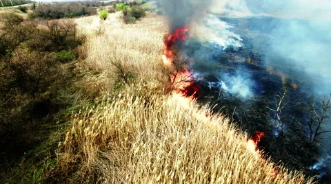 Aerial view of dry grass burning in steppe Stock Footage 62852539