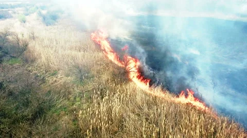 Aerial view of dry grass burning in steppe Stock Footage 62852630