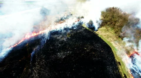 Aerial view of dry grass burning in steppe Stock Footage 62852954
