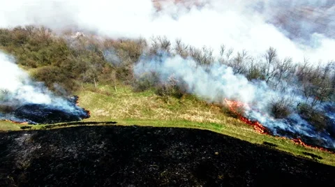 Aerial view of dry grass burning in steppe Stock Footage 62853245