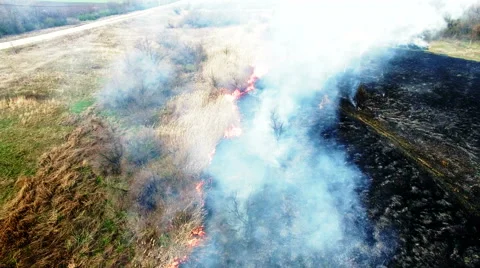 Aerial view of dry grass burning in steppe Stock Footage 62853319