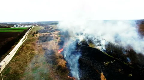 Aerial view of dry grass burning in steppe Stock Footage 62853489
