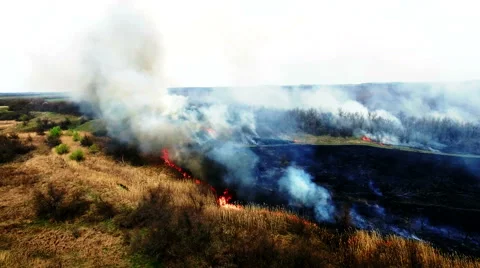 Aerial view of dry grass burning in steppe Stock Footage 62853514
