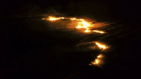 Aerial view of dry grass burning on the farmland in night Stock Footage 79461899