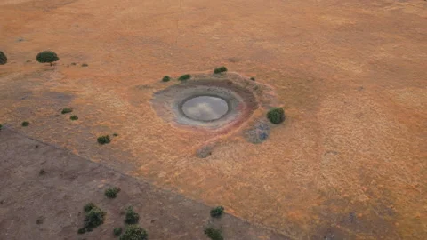 Aerial view of dry pond during heatwave in Dehesa of Salamanca, Spain Stock Footage 341887499