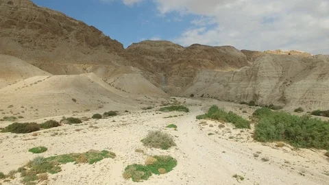 Aerial view of dry river and caves of Qumran. Israel. DJI-0003-01 Stock Footage 106710366