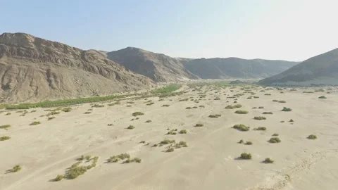 Aerial view in a dry river bed in the Hoanib Valley, Namib Desert, Namibia. Video stock 218626948