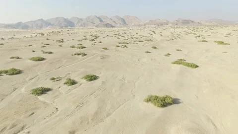 Aerial view in a dry river bed in the Hoanib Valley, Namib Desert, Namibia. Video stock 218627489